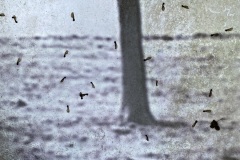 5AVV_selectie_015