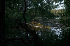 A_natuur_4