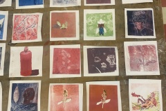 Monotype_waarneming
