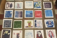 Monotype_waarneming2